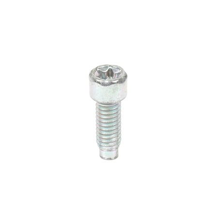 Briggs & Stratton SCREW 698941
